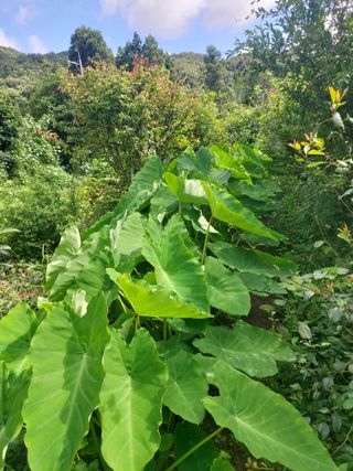 오혜영님의 자유주제 · 자유게시판 작성글 사진