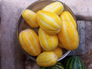 힘은나의원동력님의 자유주제 · 자유게시판 작성글 사진