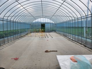 HYUN님의 참깨 · 영농일지 작성글 사진