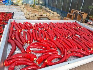 장지영님의 자유주제 · 자유게시판 작성글 사진