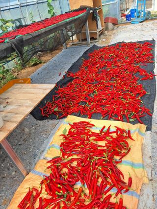 장지영님의 자유주제 · 자유게시판 작성글 사진