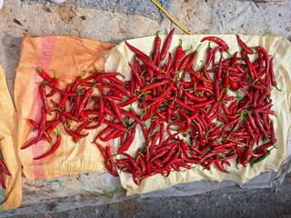 장지영님의 자유주제 · 자유게시판 작성글 사진