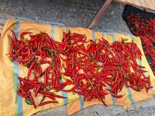 장지영님의 자유주제 · 자유게시판 작성글 사진