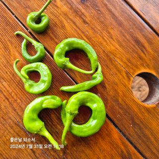 김진님의 자유주제 · 자유게시판 작성글 사진