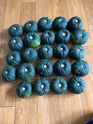 고주희님의 자유주제 · 자유게시판 작성글 사진