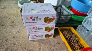 고주희님의 자유주제 · 자유게시판 작성글 사진