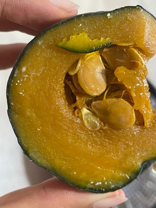 고주희님의 자유주제 · 자유게시판 작성글 사진