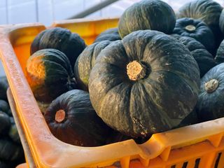 고주희님의 자유주제 · 자유게시판 작성글 사진