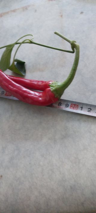 이사룡님의 자유주제 · 자유게시판 작성글 사진