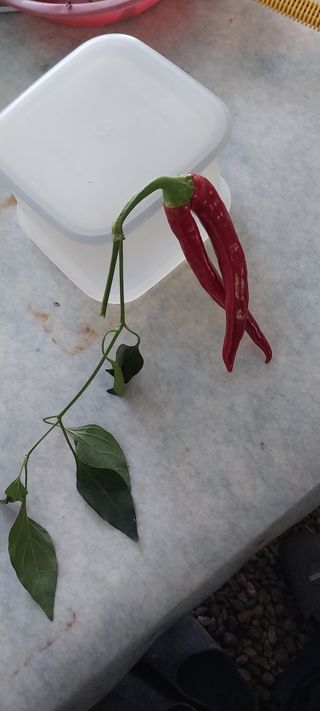 이사룡님의 자유주제 · 자유게시판 작성글 사진