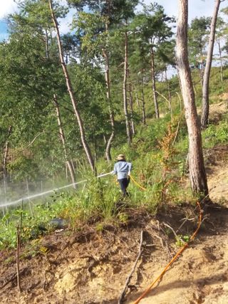 알 수 없음님의 두릅 · 영농일지 작성글 사진
