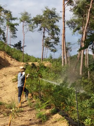 알 수 없음님의 두릅 · 영농일지 작성글 사진