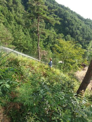 알 수 없음님의 두릅 · 영농일지 작성글 사진