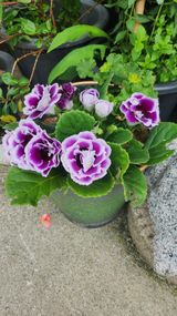 팜모닝 자유주제·자유게시판 게시글 이미지