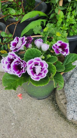 김동식님의 자유주제 · 자유게시판 작성글 사진