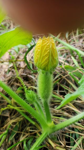 김동식님의 자유주제 · 자유게시판 작성글 사진