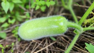 김동식님의 자유주제 · 자유게시판 작성글 사진