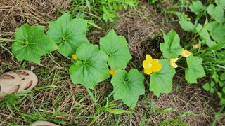 김동식님의 자유주제 · 자유게시판 작성글 사진