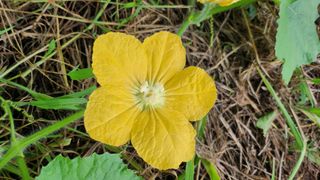 김동식님의 자유주제 · 자유게시판 작성글 사진