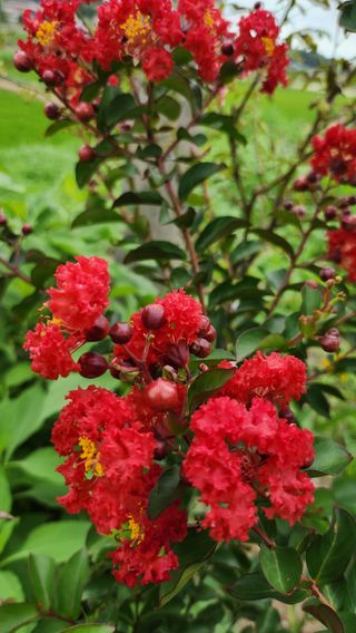 김동식님의 자유주제 · 자유게시판 작성글 사진