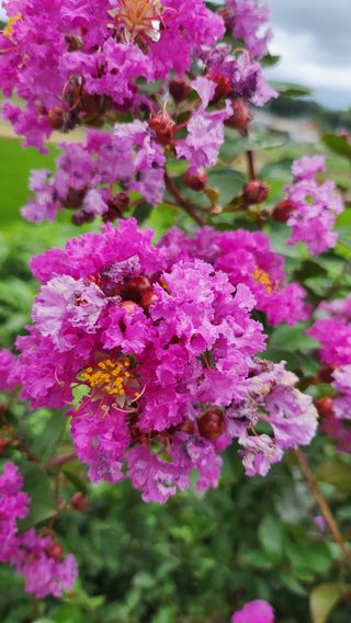 김동식님의 자유주제 · 자유게시판 작성글 사진