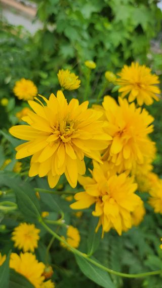 김동식님의 자유주제 · 자유게시판 작성글 사진