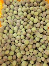 팜모닝 자유주제·자유게시판 게시글 이미지