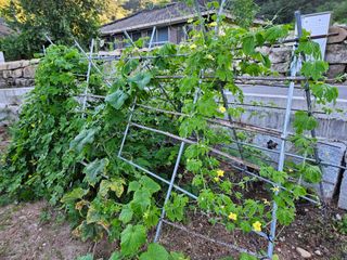 이희문님의 기타작물 · 영농일지 작성글 사진