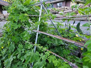 이희문님의 기타작물 · 영농일지 작성글 사진