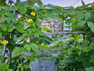 이희문님의 기타작물 · 영농일지 작성글 사진