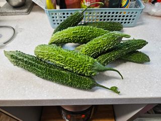 이희문님의 기타작물 · 영농일지 작성글 사진