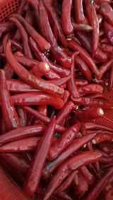 팜모닝 자유주제·자유게시판 게시글 이미지