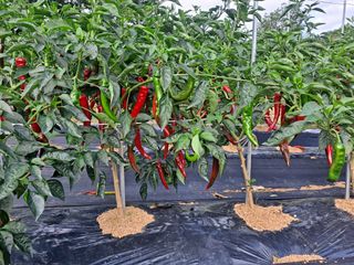 오주연님의 자유주제 · 자유게시판 작성글 사진