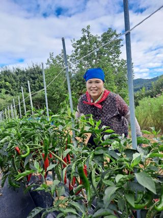 오주연님의 자유주제 · 자유게시판 작성글 사진