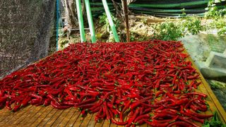 오주연님의 자유주제 · 자유게시판 작성글 사진