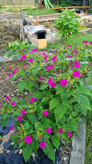 오주연님의 자유주제 · 자유게시판 작성글 사진