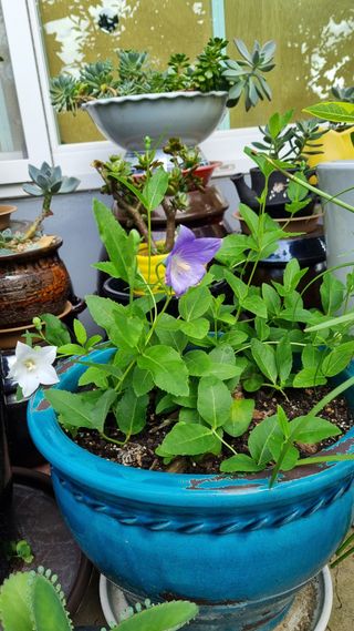 오주연님의 자유주제 · 자유게시판 작성글 사진