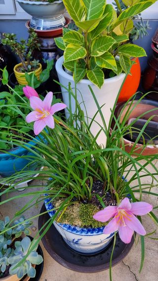 오주연님의 자유주제 · 자유게시판 작성글 사진