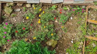 오주연님의 자유주제 · 자유게시판 작성글 사진