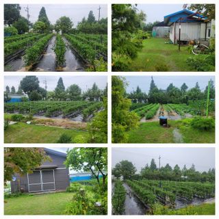 찬균park님의 자유주제 · 자유게시판 작성글 사진