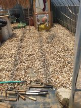 팜모닝 자유주제·자유게시판 게시글 이미지