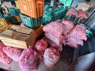 박린님의 🧄마늘 농협 수매가 알아보기 · 참여글 작성글 사진