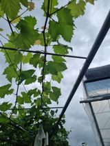 팜모닝 자유주제·자유게시판 게시글 이미지