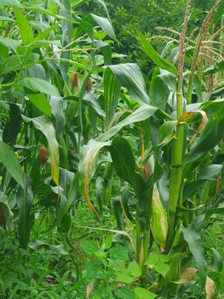 남 샘결 개둥맘님의 자유주제 · 자유게시판 작성글 사진