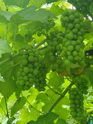 남 샘결 개둥맘님의 자유주제 · 자유게시판 작성글 사진