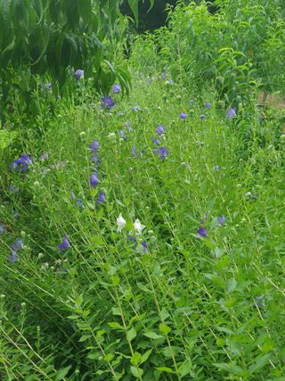 남 샘결 개둥맘님의 자유주제 · 자유게시판 작성글 사진