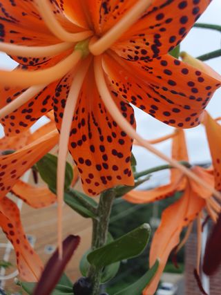 남 샘결 개둥맘님의 자유주제 · 자유게시판 작성글 사진