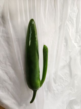 호박10174님의 자유주제 · 자유게시판 작성글 사진