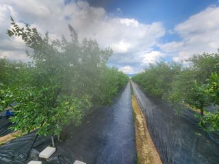 대추 9544님의 자유주제 · 자유게시판 작성글 사진