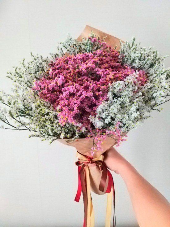 사랑꽃농장님의 장터 판매 상품 [시넨시스3종3모종(월동가능)] 첨부 사진